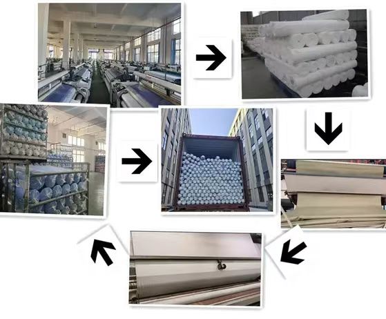 product-559-462 product-559-462